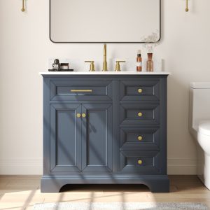 DeerValley DV-1BV0155BU Bathroom Vanities Soft-Close Storage Pre-Assembled Sink