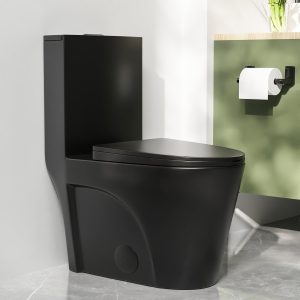 DeerValley DV-1F0027 One-piece Toilets Fan Shape Seamless Anti-Bacterial Quiet Comfort