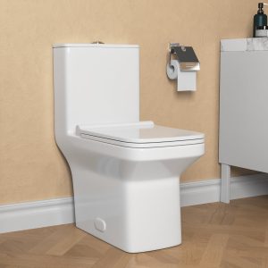 Deervalley DV-1F0071 One-Piece Square Toilet, 12" Rough-in Dual-Flush