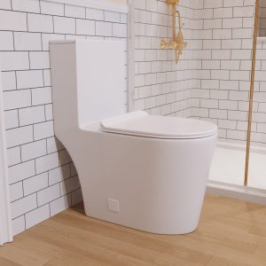 Deervalley DV-1F0196 One-Piece Elongated Toilet, 1.19/0.85 GPF Dual-Flush