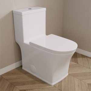 DeerValley DV-1F0230 One-Piece Elongated Toilet, Dual-Flush Glazed Surface with Multiple Types