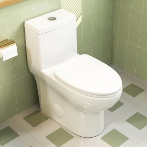 DeerValley DV-1F026 One-piece Toilets Soft-Close Seat Quick-Release Quiet Operation