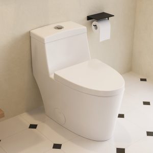 DeerValley DV-1F52636 One Piece Toilet Powerful 800g Flush EverClean Surface