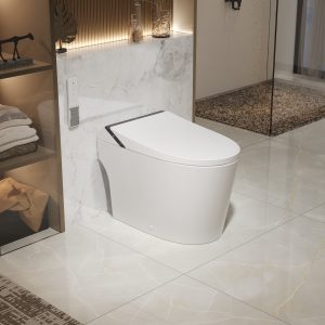 DeerValley DV-1S0289 / DV-1S0289-V3 ADA Smart Toilet with Foam Shield Hygiene & Hands-Free Flush