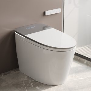 DeerValley DV-1S0336 Smart Toilet with Programmable Cleaning, ADA Comfort Height