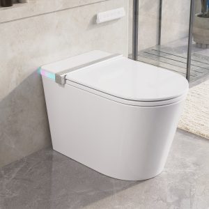 DeerValley DV-1S0360 Smart Toilet with All-Season Comfort, Built-in Tank & Pump
