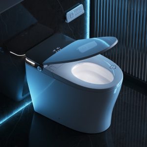 DeerValley DV-1S0371-V3 ADA Smart Toilet with Foam Shield & Powerful 1000 MAP Flush