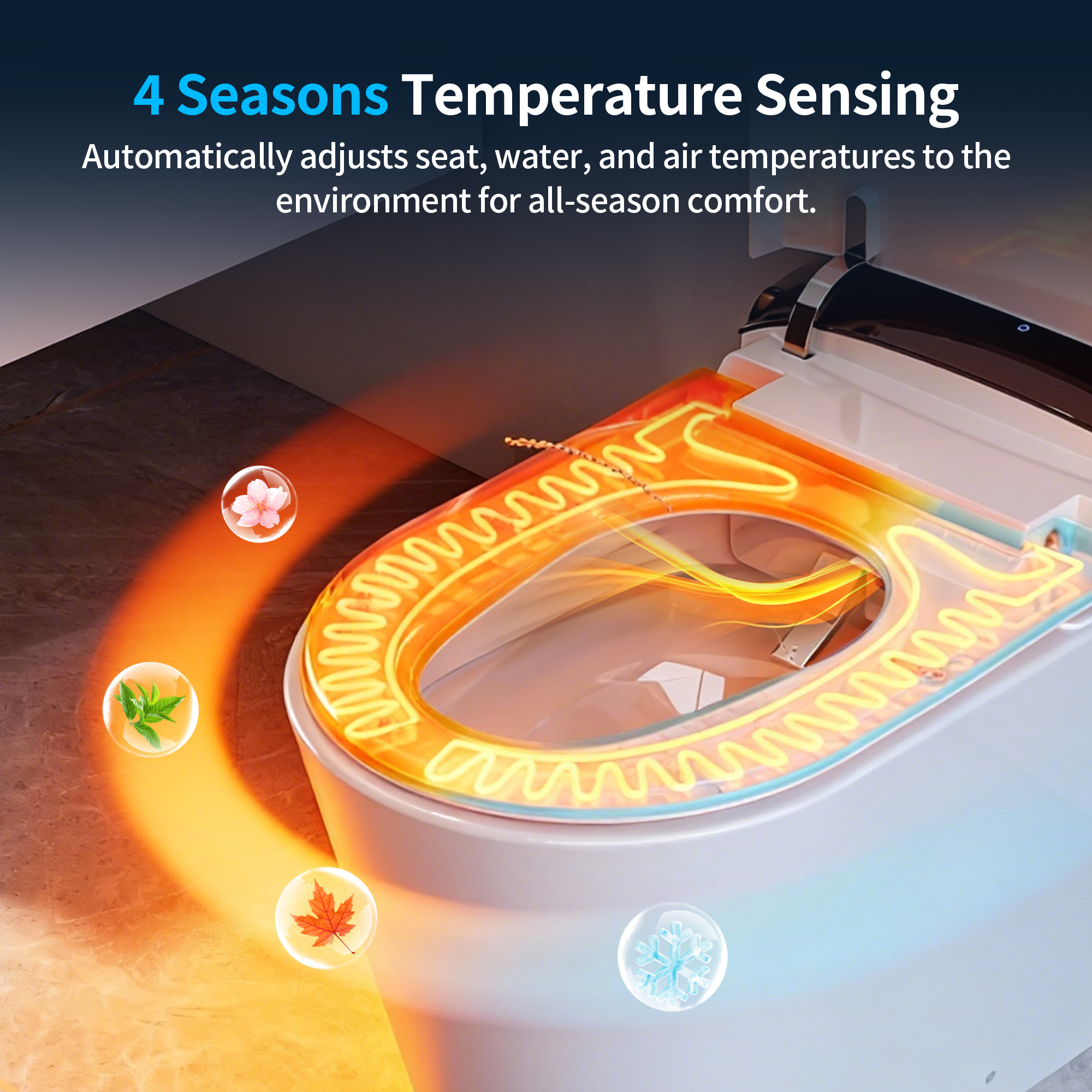 DV-1S0442-Image2.png