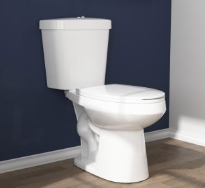 Deervalley DV-2F0078 Two-Piece Elongated Toilet, 12" Rough-in Dual-Flush