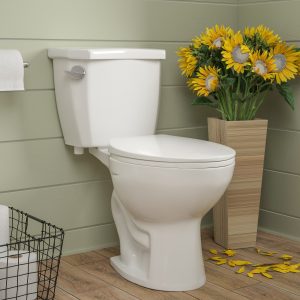 DeerValley DV-2F52531 Two-Piece Toilets, Elongated Quiet-Close Seat, All-in-One Kit & Left Chrome Lever